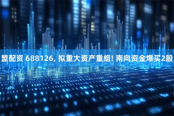 盟配资 688126, 拟重大资产重组! 南向资金爆买2股