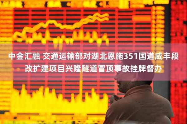 中金汇融 交通运输部对湖北恩施351国道咸丰段改扩建项目兴隆隧道冒顶事故挂牌督办
